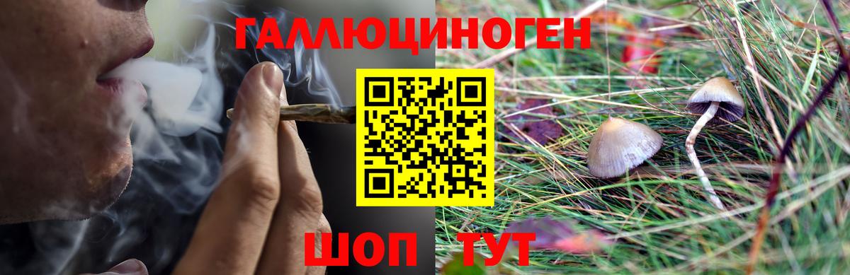 Галлюциногенные грибы Psilocybe  продажа наркотиков  Лабинск  Вход с VPN 
