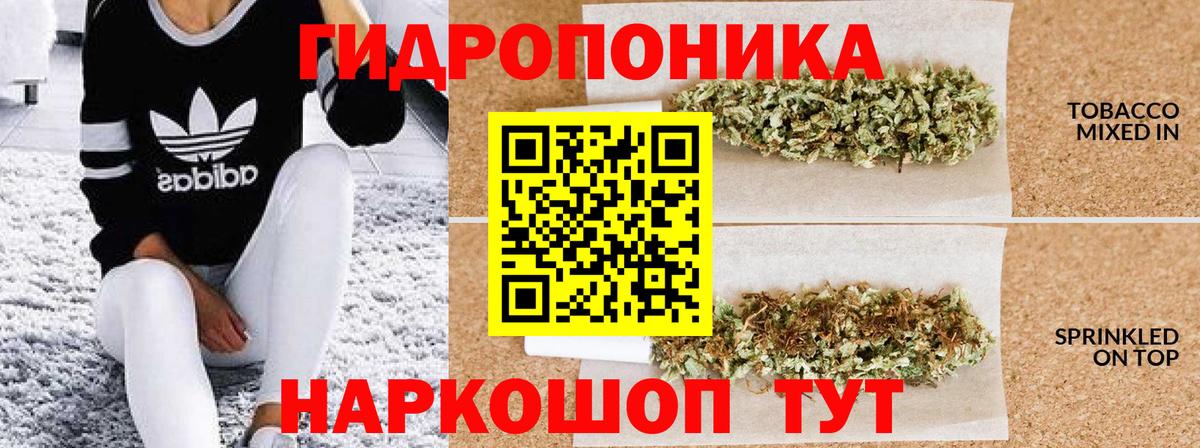 Бошки Шишки VHQ  Каннабис OG Kush  Лабинск  Вход с VPN  Каннабис семена  Шишки марихуана сатива 